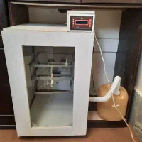 دستگاه جوجه کشی