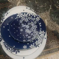 سرویس ظرف