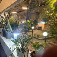 کارگرساده خانم جهت کار در سفره خانه نیازمندیم