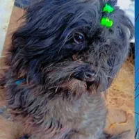 فروشی قیمت 3میلیون