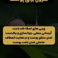 حلزون آلبینو|خزنده|شاهین‌شهر, طالقانی|دیوار