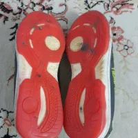 کفش ورزشی|کیف، کفش، کمربند|قم, باجک یک|دیوار