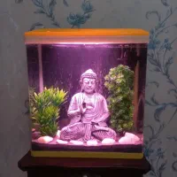اکواریوم