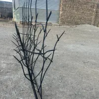 حفاظ شاخ گوزنی|مصالح و تجهیزات ساختمان|تهران, بهجت‌آباد|دیوار