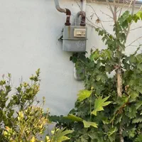 زمین مشجر/انشعابات قانونی/سندتکبرگ/سهیلیه زعفرانیه|فروش زمین و ملک کلنگی|کرج, پیشاهنگی|دیوار