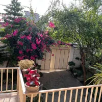 ویلاباغ جنگلی / مستقل / مدارک کامل|فروش خانه و ویلا|امامزاده عبدالله, |دیوار