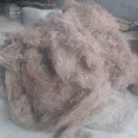 فروش پشم گوسفند  شسته حلاجی شدالیاف طبیعی|رختخواب، بالش، پتو|گلی داغ, |دیوار