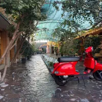 نیازمند نیروی ساده و پارکبان