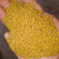 بذریونجه وتخم یونجه پایه بلندهمدانی ماران ورنجر