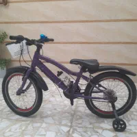 دوچرخه حرفه ای در حد نو