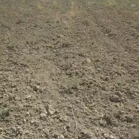 زمین ابی|فروش زمین و ملک کلنگی|قصرشیرین, |دیوار