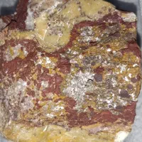 جاسپر|جواهرات|کازرون, |دیوار