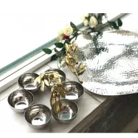 ظروف پذیرایی هندی