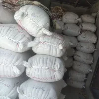 گندم ساورز . تمیز . تخمی