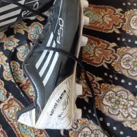 کفش استوک دار|کیف، کفش، کمربند|مبارکه, |دیوار