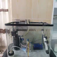 آکواریوم 20 لیتری