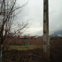 فروش-پنج-هکتار-مزرعه-که-برای-باغ-کیوی-مناسب-هستش