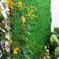 استخدام نیرو برای فست فود