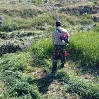 علف زنی باغ وشخم زدن باغات درخدمتم