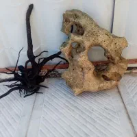 سخره وچوب بامبو برای اکواریوم