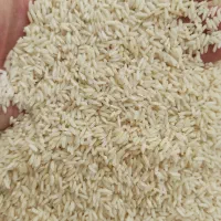 برنج علی کاظمی (ارسال درب منزل)|خوردنی و آشامیدنی|بروجرد, |دیوار