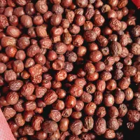 عناب تازه|خوردنی و آشامیدنی|شیروان (خراسان), |دیوار