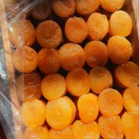 قیسی فوق ممتاز درجه یک کیلویی ۶۰۰هزار تومان|خوردنی و آشامیدنی|ری, امین آباد|دیوار