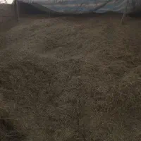 کاهه یونجه یعنی یونجه خردشده با پاتوز