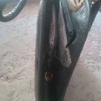 کیف|کیف، کفش، کمربند|قرچک, شهرک طلائیه|دیوار