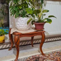 جلو مبلی و عسلی در حد نو