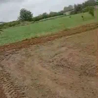 خدمات کشاورزی|خدمات باغبانی و درختکاری|کردکوی, |دیوار