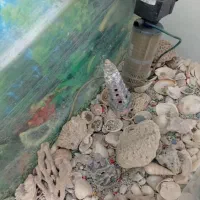 آکواریوم همراه با پایه و سنگهای زیبا و کمیاب