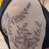 تتوی بدن(منطقه ازاد انزلی)