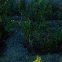 قواره-200-تا-300متری