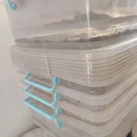 باکس بزرگ و وکوچک حلزون|لوازم جانبی حیوانات|قم, یزدانشهر|دیوار