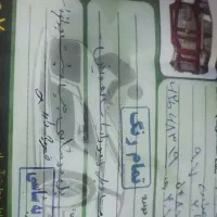 206تیپ 2مدل 97|خودرو سواری و وانت|کرمانشاه, |دیوار