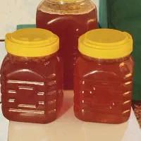 عسل طبیعی|خوردنی و آشامیدنی|زرین آباد, |دیوار