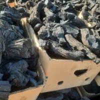 زغال|عمدهفروشی|تاکستان, |دیوار