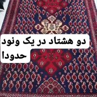 قالی دستبافت|فرش|کرمان, |دیوار