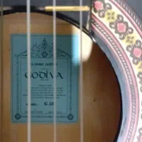 گیتار کلاسیک G50|گیتار، بیس، امپلیفایر|ساوه, |دیوار