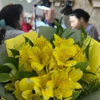 اجاره لاین خدمات زیبایی