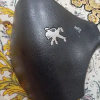 ایربگ206 فراسنوی