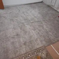 پالاز موکت|موکت|کرمانشاه, |دیوار