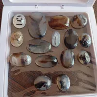 انگشتر و نگین شجر قاین درختی|جواهرات|مشهد, طلاب|دیوار