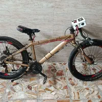 دوچرخه
