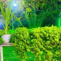 اجاره دهبالا طرزجان منشاد سانیج مهریز زارچ تفت