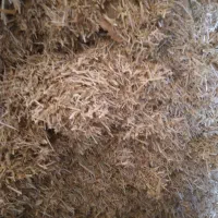 کاه گندم و مخلوط علف و یونجه|لوازم جانبی حیوانات|سلماس, |دیوار