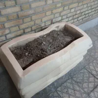 گلدان بزرگ|گل و گیاه طبیعی|اصفهان, جلفا|دیوار