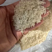 برنج شمال کشت اول (طارم هاشمی) اعلا|خوردنی و آشامیدنی|اصفهان, احمدآباد|دیوار