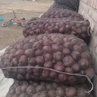 پیاز|عمده‌فروشی|چهاربرج, |دیوار